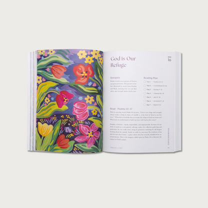 A Beautiful Year in the Bible: The 52-Week Bible Study for Womens