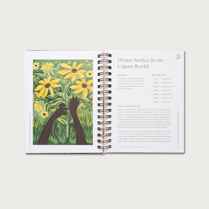 A Beautiful Year in the Bible: The 52-Week Bible Study for Womens